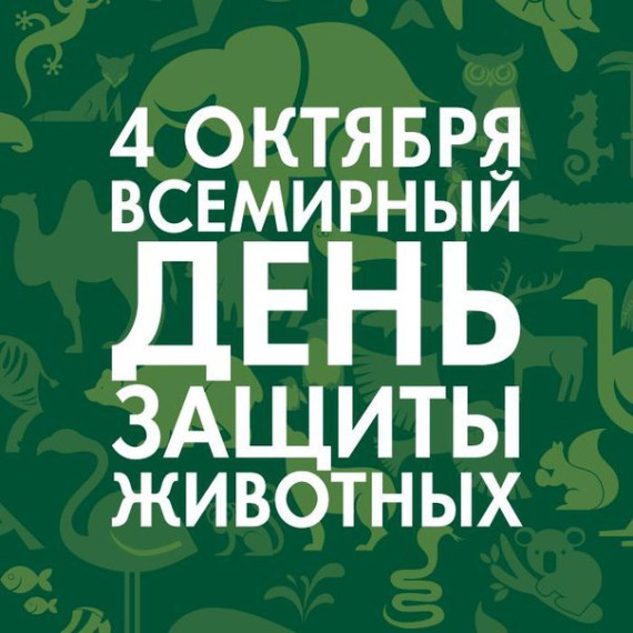 И вновь о тех, кто с нами рядом.